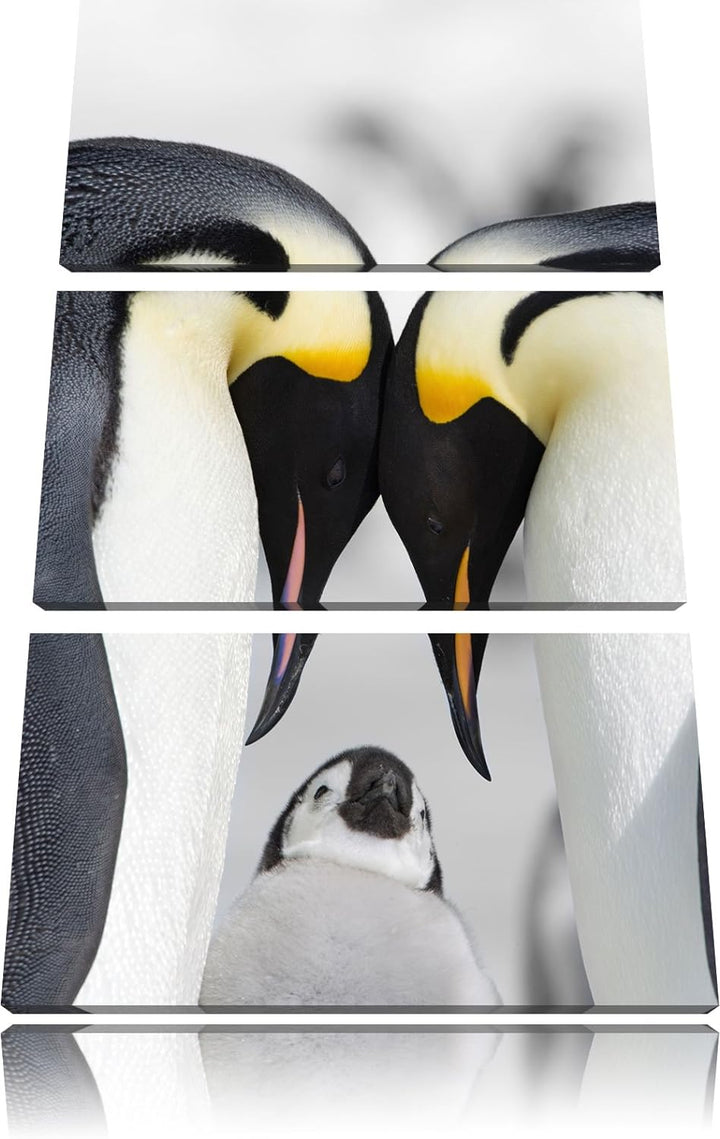 Pixxprint Kaiserpiguinpärchen Liebe B&W Detail 3-Teiler Leinwandbild 120x80 Bild auf Leinwand