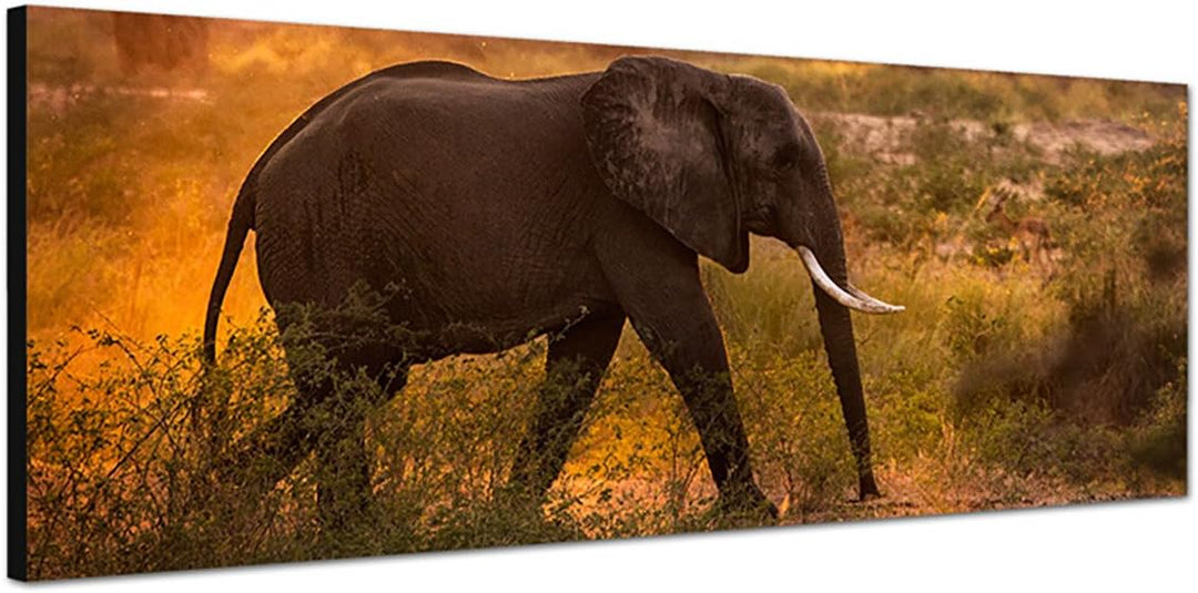 Paul Sinus Art Panoramabild auf Leinwand und Keilrahmen 150x50cm Wiese Bäume Elefant Morgensonne