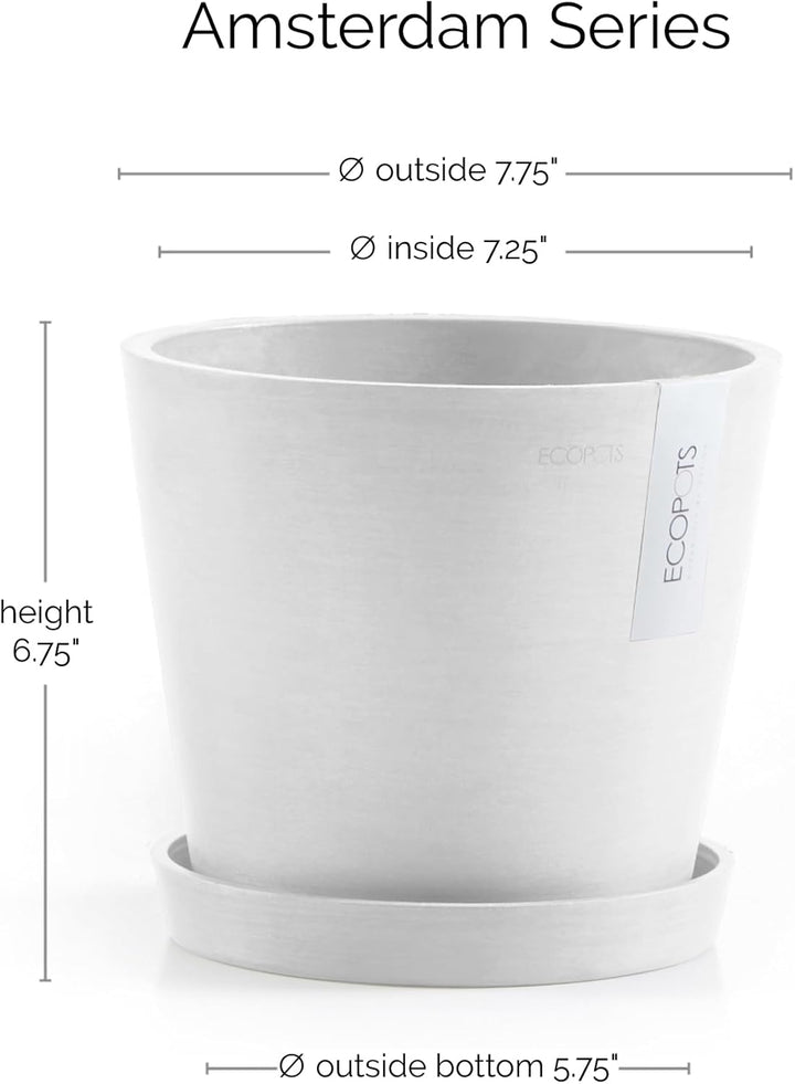 Ecopots Amsterdam 20 + Blumentopf mit Wasserreservoir - L 20 cm x H 17,2 cm - Innen- und Aussenberei
