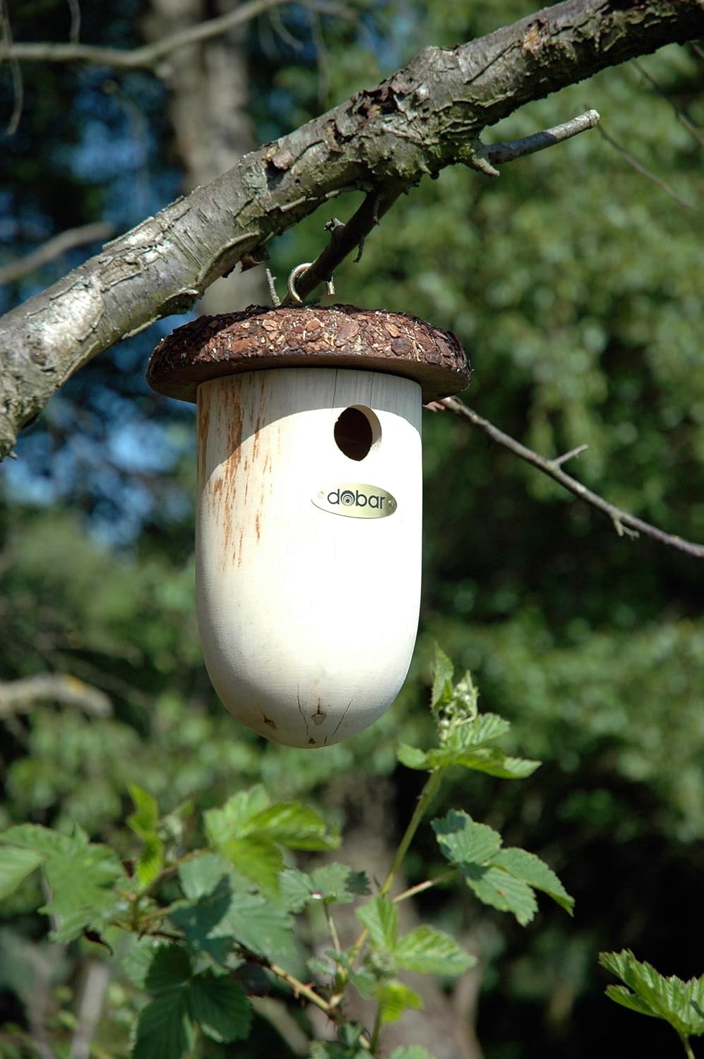 dobar 37140e Nistkasten Eichelform- Vogelkasten aus Massivholz - Nisthilfe für Blaumeisen - Meisenka