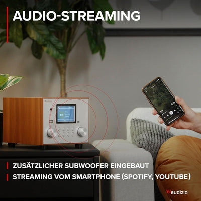 Audizio Vieste - DAB Radio mit Bluetooth, Digitalradio, 60 Watt Lautsprecher, DAB Plus Radio mit USB