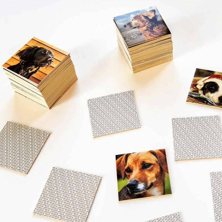 Remember DG44 Memory Gedächtnisspiel Hunde – 44 Bildpaare für Hundefreunde (88 Karten)