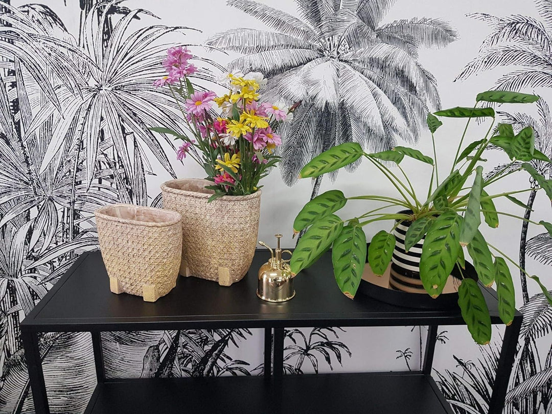 Blumentopf mit Wiener Geflecht Optik Vintage in Zwei Grössen (Gross), L