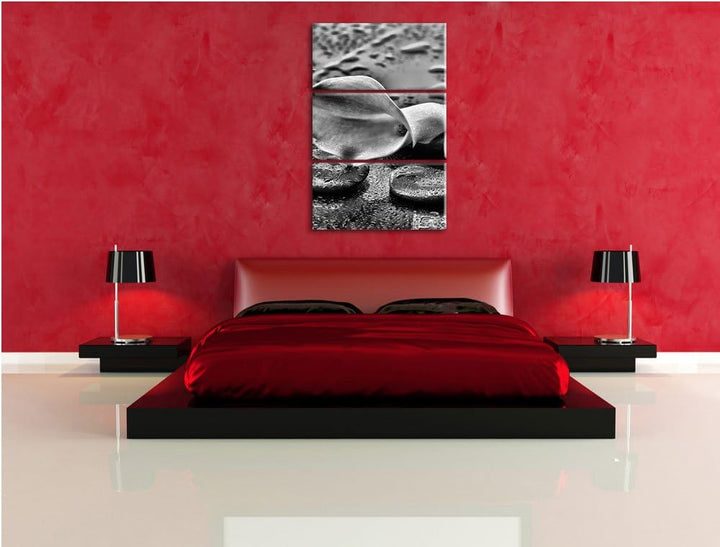 Pixxprint Callas im Regen als Leinwandbild/Grösse: 3 Teilig (120x80) cm/Wandbild/Kunstdruck/fertig b