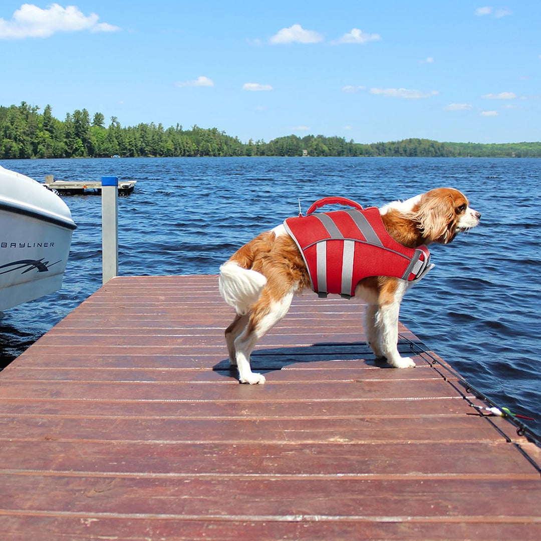 Kuoser Schwimmweste Hund, Hundeschwimmweste mit Griff &amp; D-Ring, Rot XS | Schwimmweste für Hunde, Her