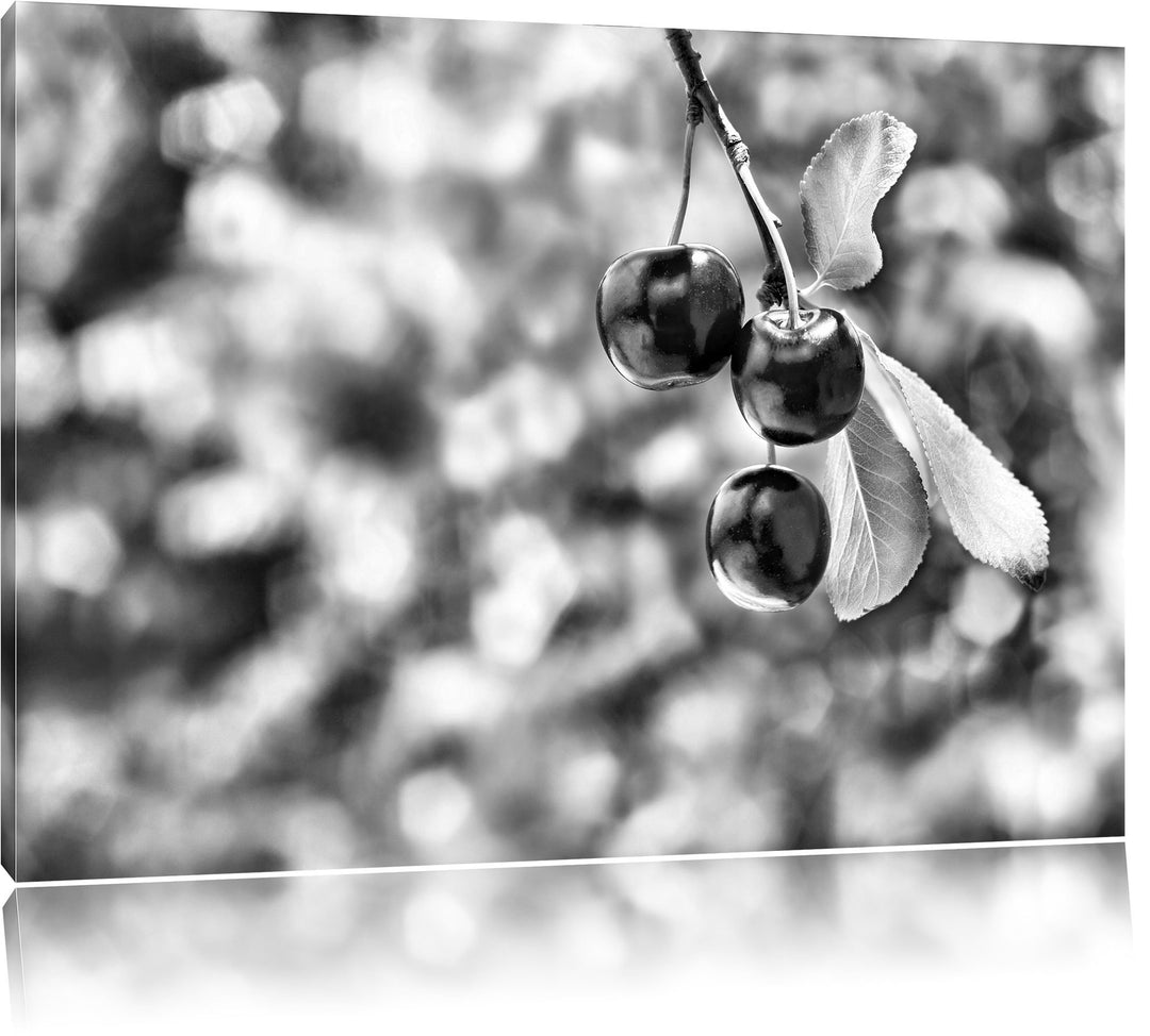 Monocrome, Kirsche, Format: 100x70 auf Leinwand, XXL riesige Bilder fertig gerahmt mit Keilrahmen, K