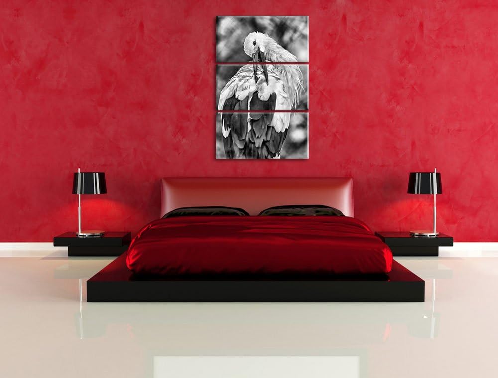 Pixxprint Storch putzt Sich als Leinwandbild/Grösse: 3 Teilig (120x80) cm/Wandbild/Kunstdruck/fertig