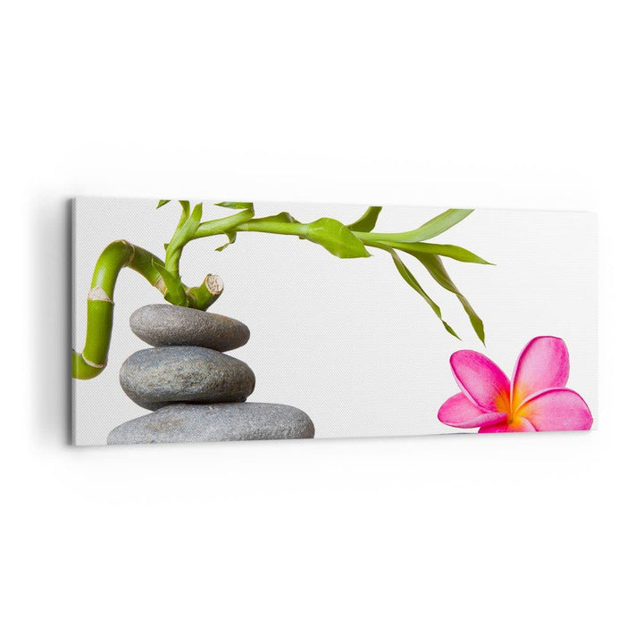 Wandbilder Dekoration Wohnzimmer Ruhig blume dekoration stein Panorama Bilder auf Leinwand 120x50cm