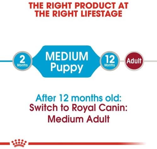 Royal Canin Medium Puppy | 4er Pack | 4 x 10 x 140 g | Nasses Welpenfutter für mittelgrosse Hunde |