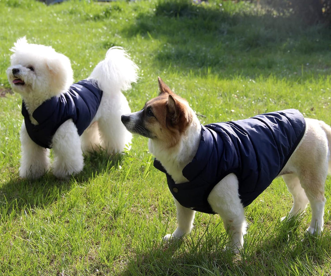 Mit Fleece gefütterte Hundejacke mit 2 Schichten von JoyDaog, sehr warm für den Winter und kaltes We