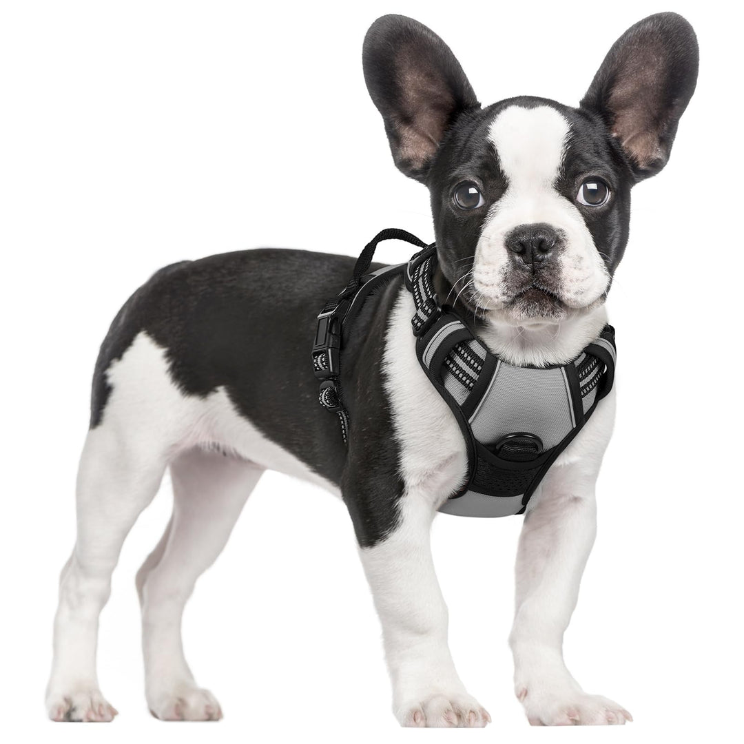 rabbitgoo Hundegeschirr Mittelgrosse Hunde, Anti Zug Geschirr mit Kontrolle, No Pull Verstellbar Hun