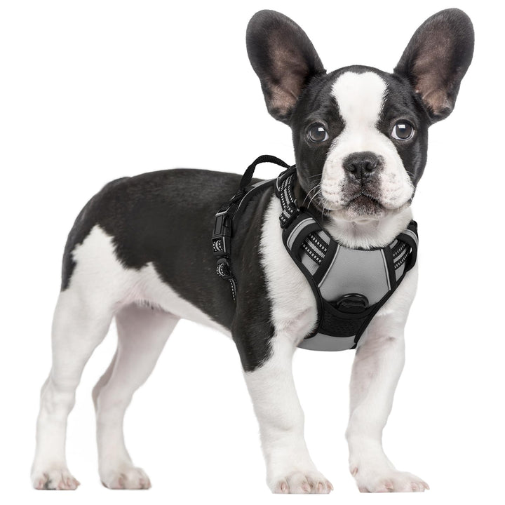 rabbitgoo Hundegeschirr Mittelgrosse Hunde, Anti Zug Geschirr mit Kontrolle, No Pull Verstellbar Hun