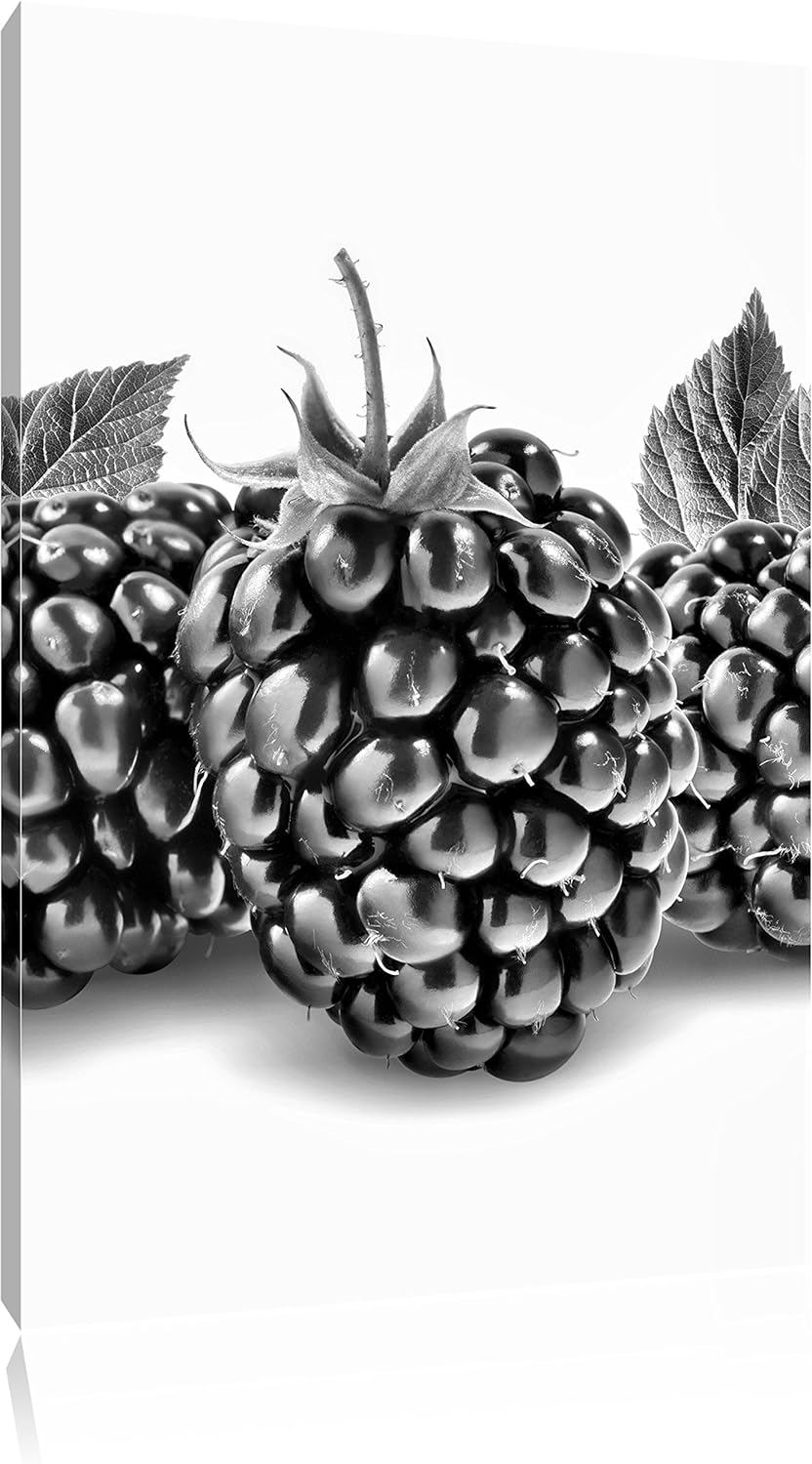 Pixxprint Leckere Brombeeren als Leinwandbild | Grösse: 100x70 | Wandbild| Kunstdruck | fertig bespa