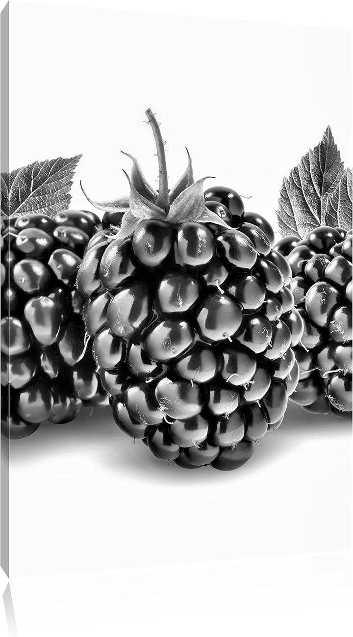 Pixxprint Leckere Brombeeren als Leinwandbild | Grösse: 100x70 | Wandbild| Kunstdruck | fertig bespa