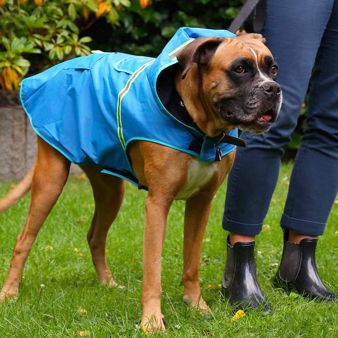 Bella & Balu Hunderegenmantel - Wasserdichter Hundemantel mit Kapuze und Reflektoren für trockene, s