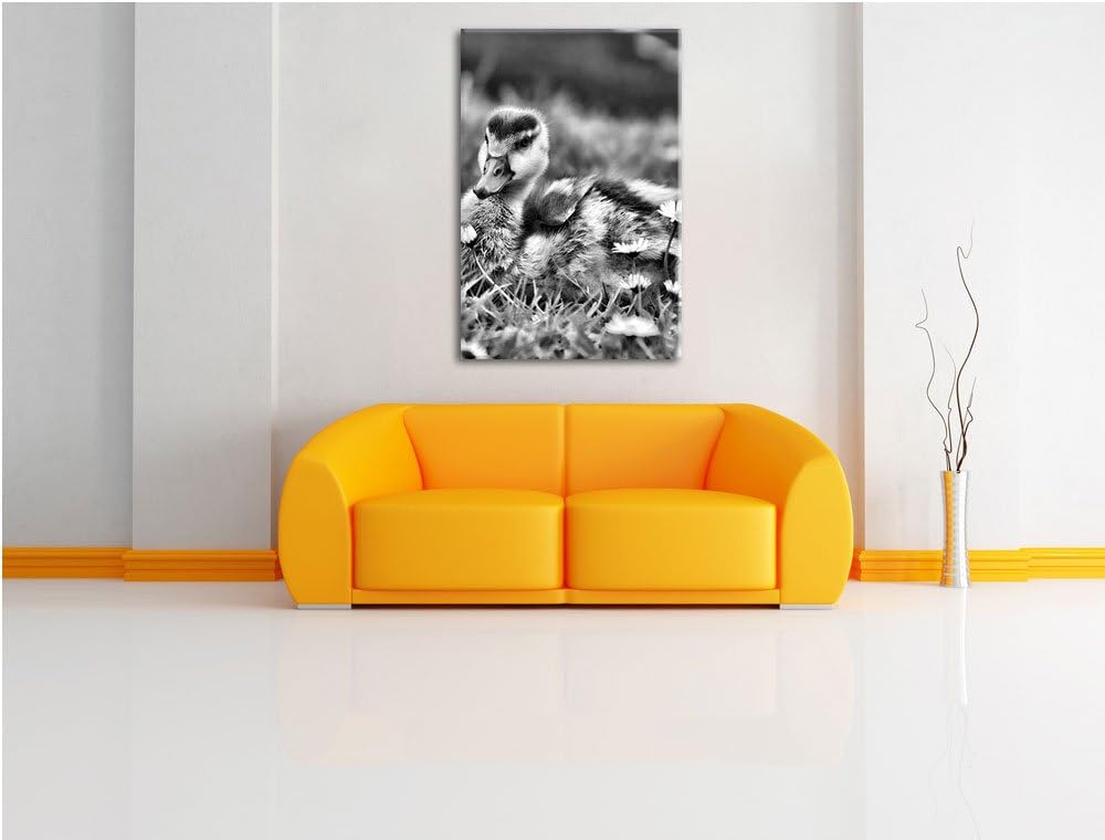 Pixxprint Monocrome, Enten auf Wiese, Format: 100x70 auf Leinwand, 100x70