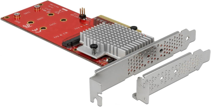 DeLOCK 90305 Karte und Adapter für interne M.2 Schnittstellen – Schnittstellenkarten und Adapter (PC