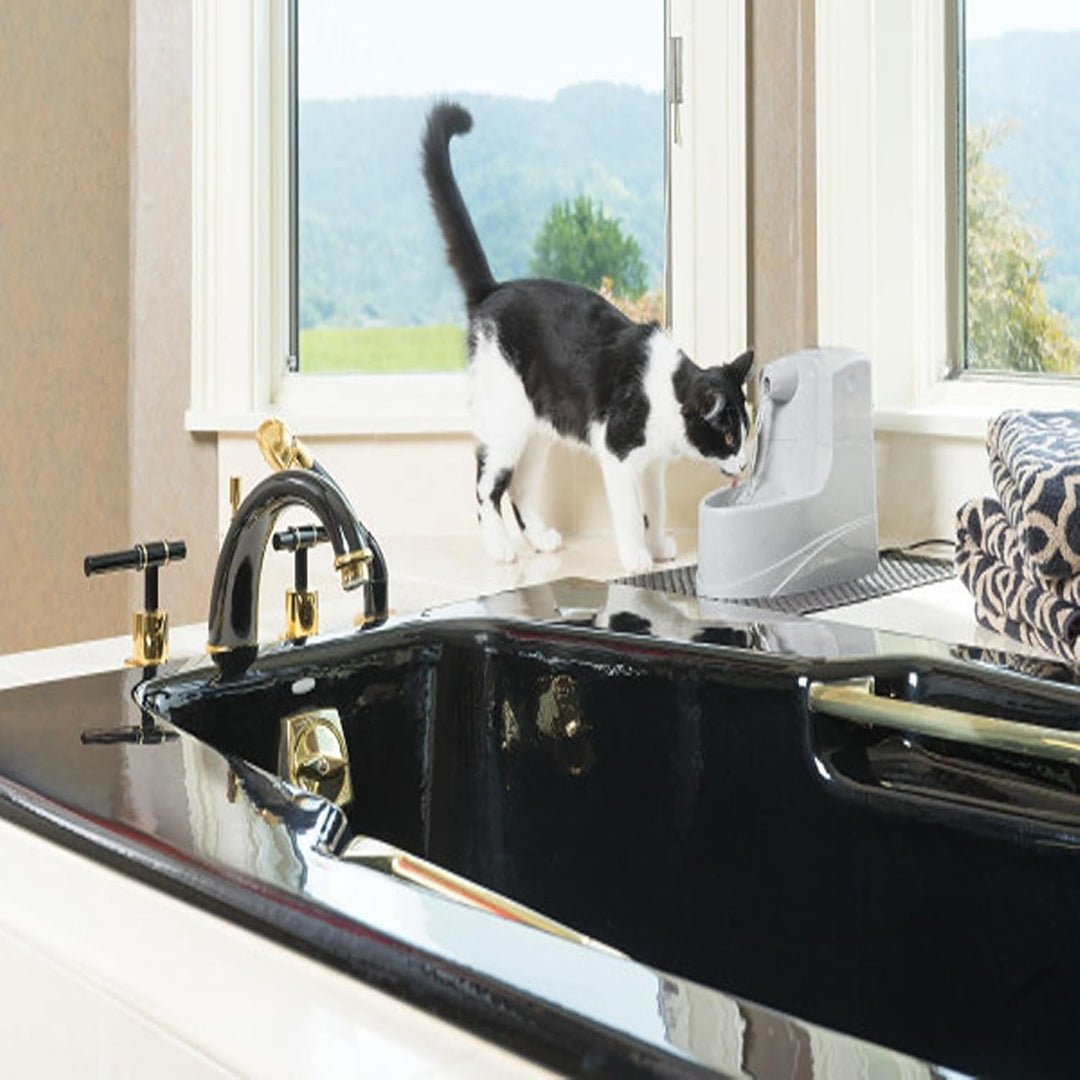 PetSafe Drinkwell Trinkbrunnen Mini, Zweifaches Filtersystem, Für kleine Hunde und Katzen geeignet,