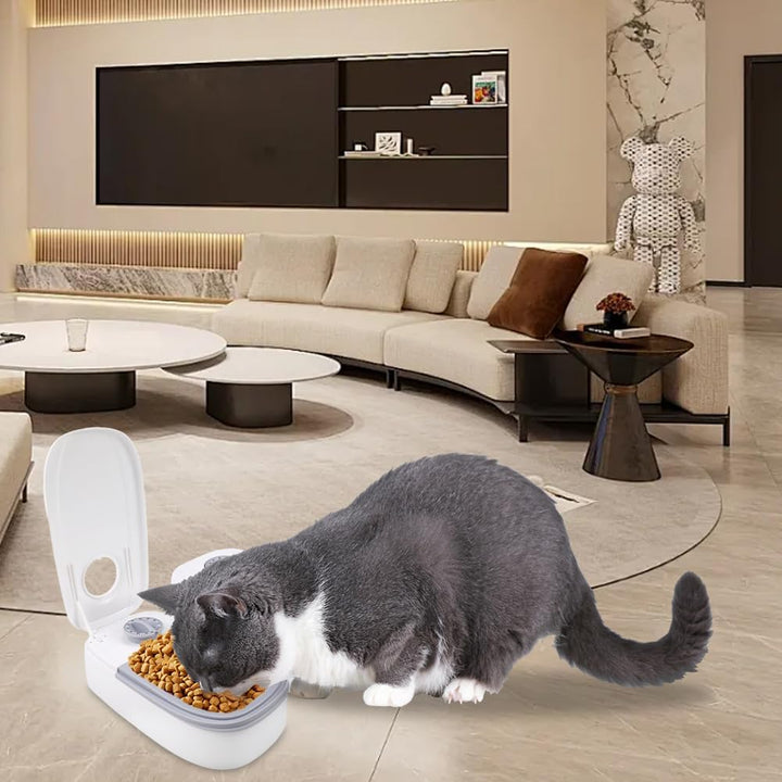 Tyafzzn Futterautomat Katze für Mahlzeiten, Automatischer Futterspender Katze, Katzen Futterautomate