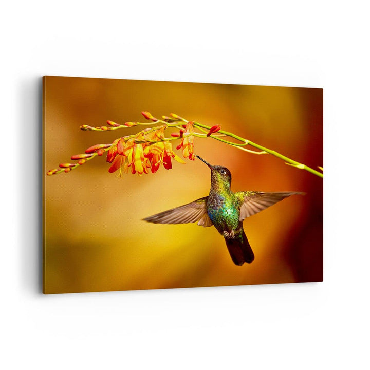 ARTTOR Bilder auf Leinwand 100x70cm Leinwandbild Kolibri Vogel Sommer Gross Wanddeko Bild Schlafzimm