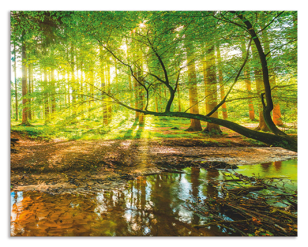 ARTland Spritzschutz Küche aus Alu für Herd Spüle 70x55 cm (BxH) Küchenrückwand mit Motiv Natur Land