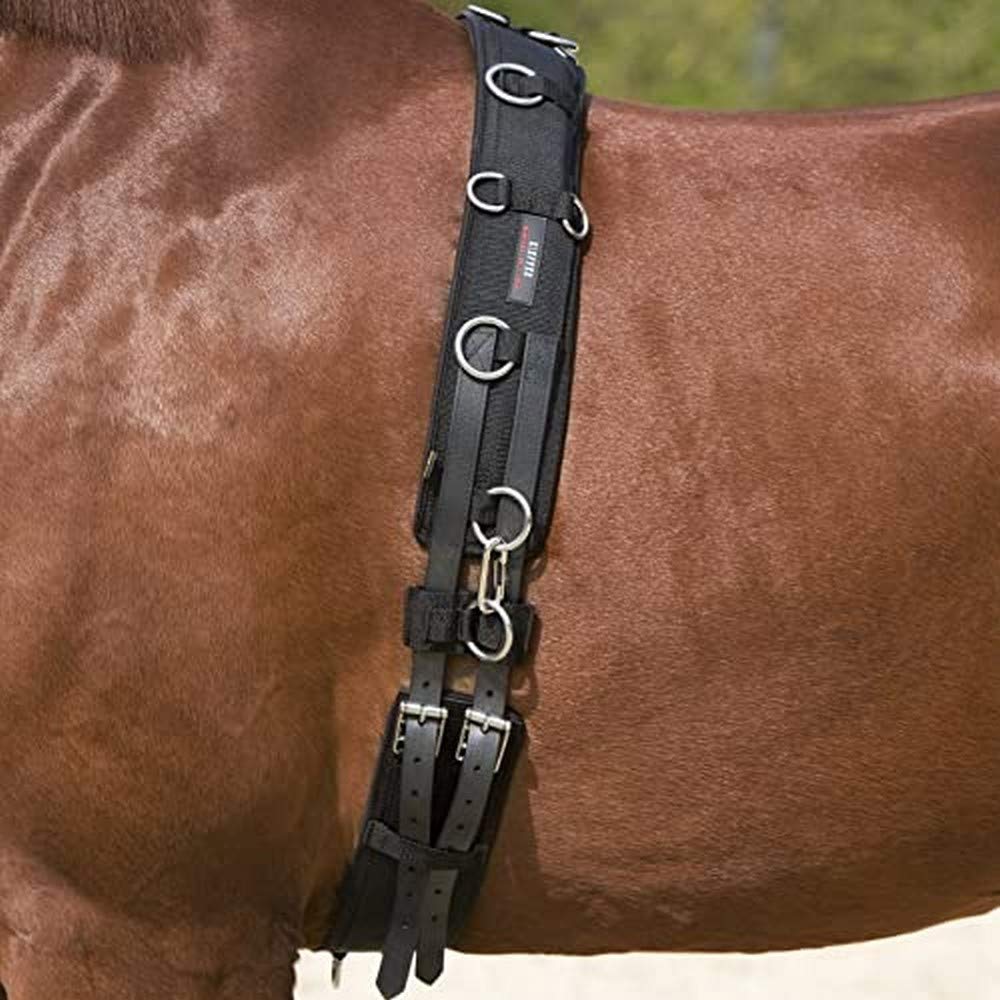 Kieffer Longiergurt Schwarz Pony, Schwarz Pony