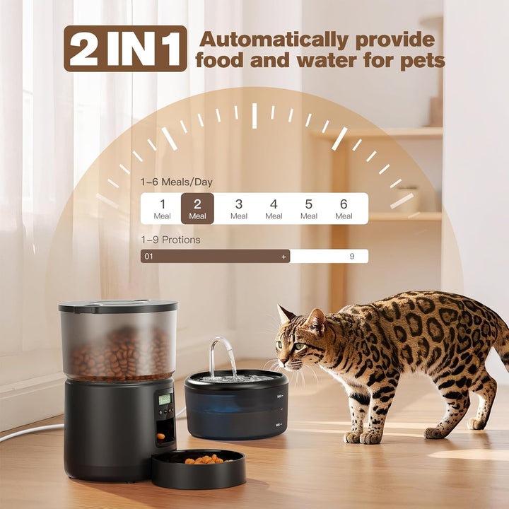 Futterautomat Katze Katzenfutter Automat und Katzenbrunnen: Futterspender Hunde mit Programmierbarem