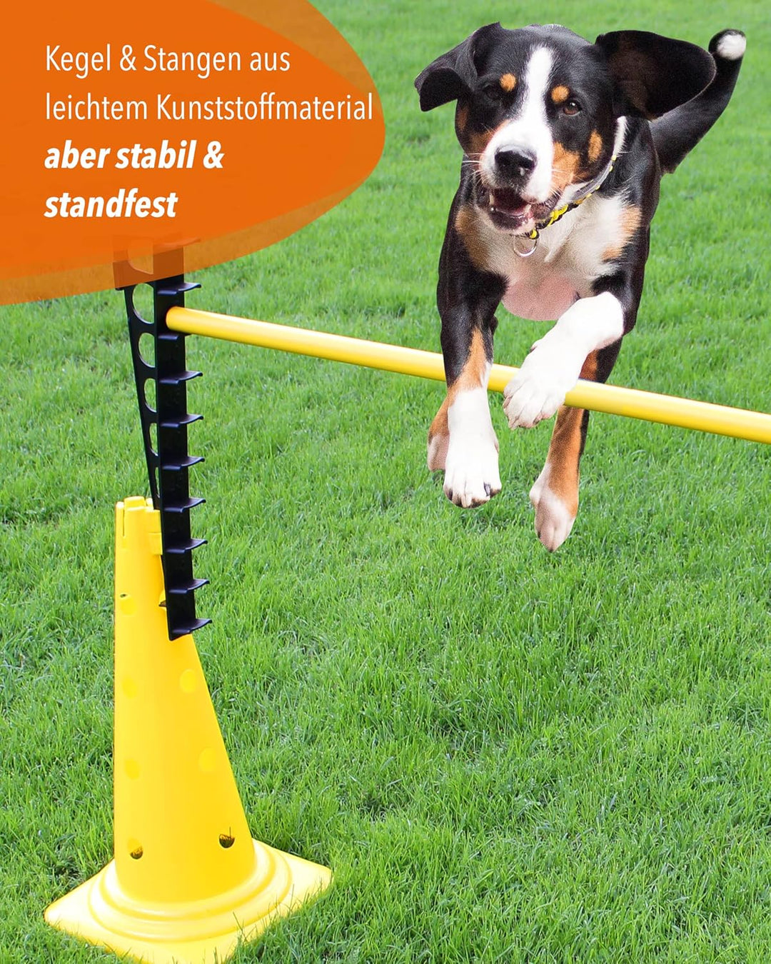 Kombi Leiterhürde 50 mit Stange 100 cm – Parcours-Hindernis für Agility-Training – Sprung- & Slalom-
