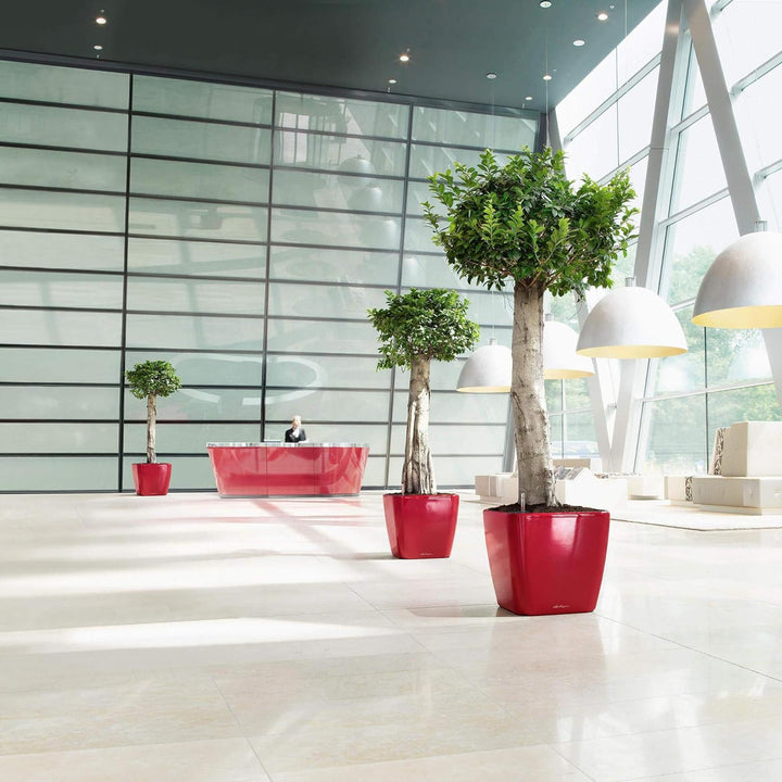 LECHUZA QUADRO Premium LS 50 schwarz hochglanz 16289 50x50x47 cm Schwarz Hochglanz, 50x50x47 cm Schw