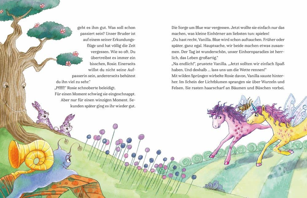 Einhorn-Paradies (Bd. 1): Der Zauberwunsch (Einhorn-Paradies, 1, Band 1), Gebundenes Buch