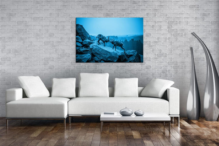 deyoli zwei kämpfende Steinböcke Format: 80x60 Effekt: Monocrome Blau als Leinwand, Motiv fertig ger