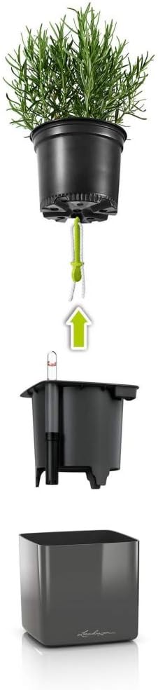 LECHUZA CUBE Glossy Green Wall Home Kit weiss-highgloss 13523 48x14x10 cm Weiss-highgloss, 48x14x10