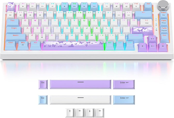 SOLIDEE Verkabelte Mechanische Gaming Tastatur 75 Prozent,hot-swap-fähige Mechanische Tastatur mit G