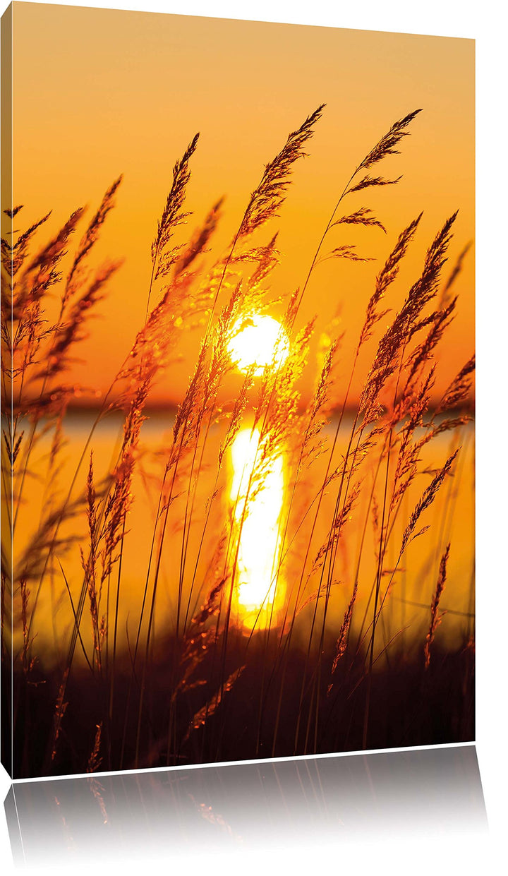 Sonne zwischen Gräsern, Format: 100x70 auf Leinwand, XXL riesige Bilder fertig gerahmt mit Keilrahme