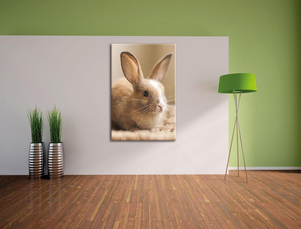 Süsses Kaninchen, Format: 100x70 auf Leinwand, XXL riesige Bilder fertig gerahmt mit Keilrahmen, Kun