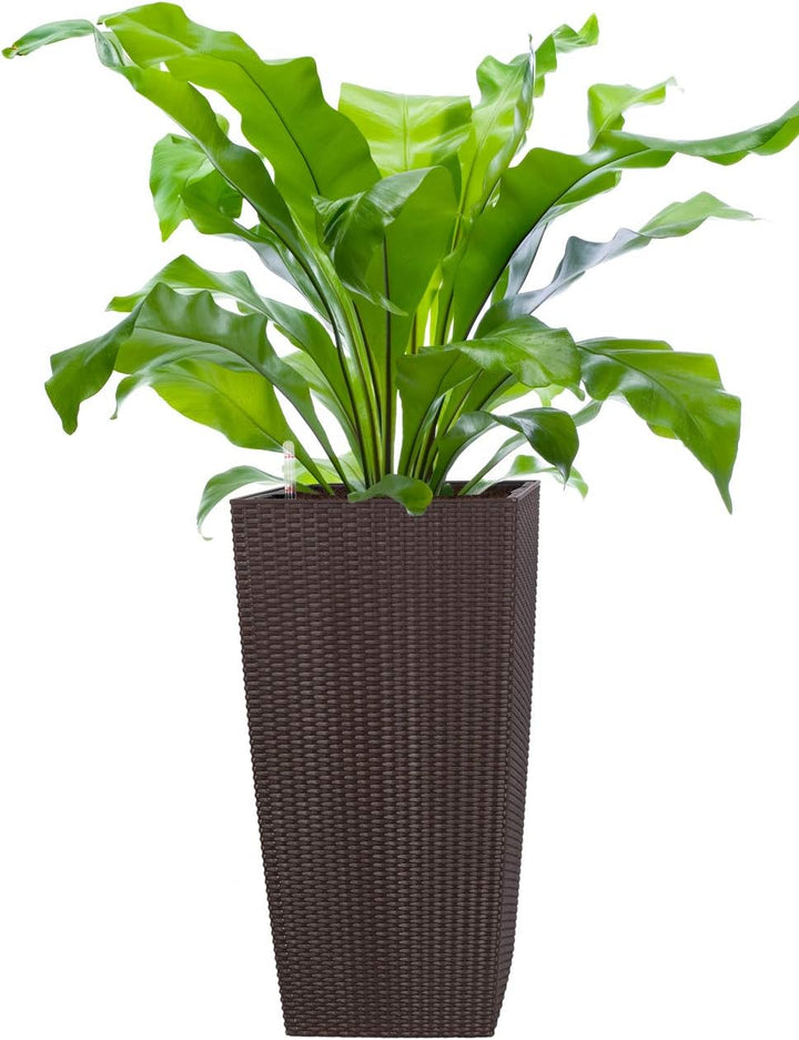 Pflanzwerk® ÖKOSYSTEM Pflanzkübel Square - Blumentöpfe Übertöpfe mit BEWÄSSERUNGSSYSTEM - 75x40x40cm