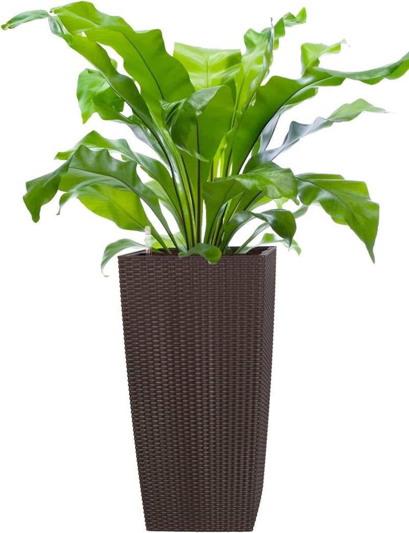 Pflanzwerk® ÖKOSYSTEM Pflanzkübel Square - Blumentöpfe Übertöpfe mit BEWÄSSERUNGSSYSTEM - 75x40x40cm