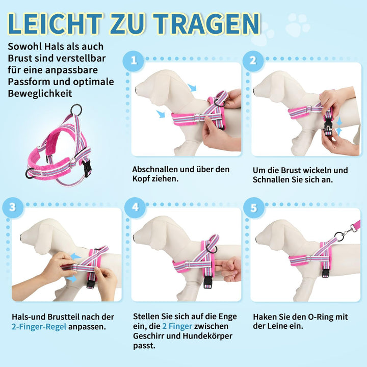 Eyein No-Pull Hundegeschirr mit Leine, Geschirr mit Weich Gepolstertes, Reflektierend, Verstellbares