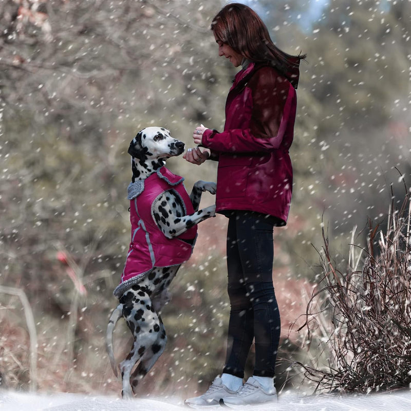 VIVAGLORY Hunde Wintermäntel, Schnee- und Winddicht Sowie Wasserabweisend Hunde Wintermantel mit Bau