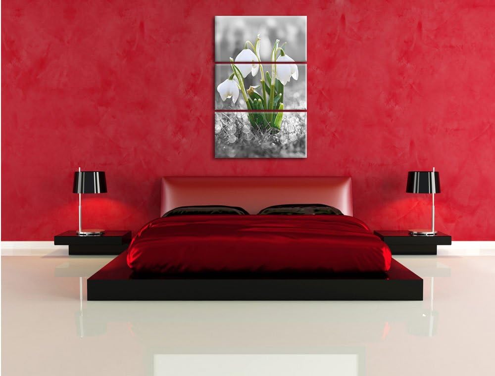 Pixxprint schöne Schneeglöckchen im Morgentau als Leinwandbild/Grösse: 3 Teilig (120x80) cm/Wandbild