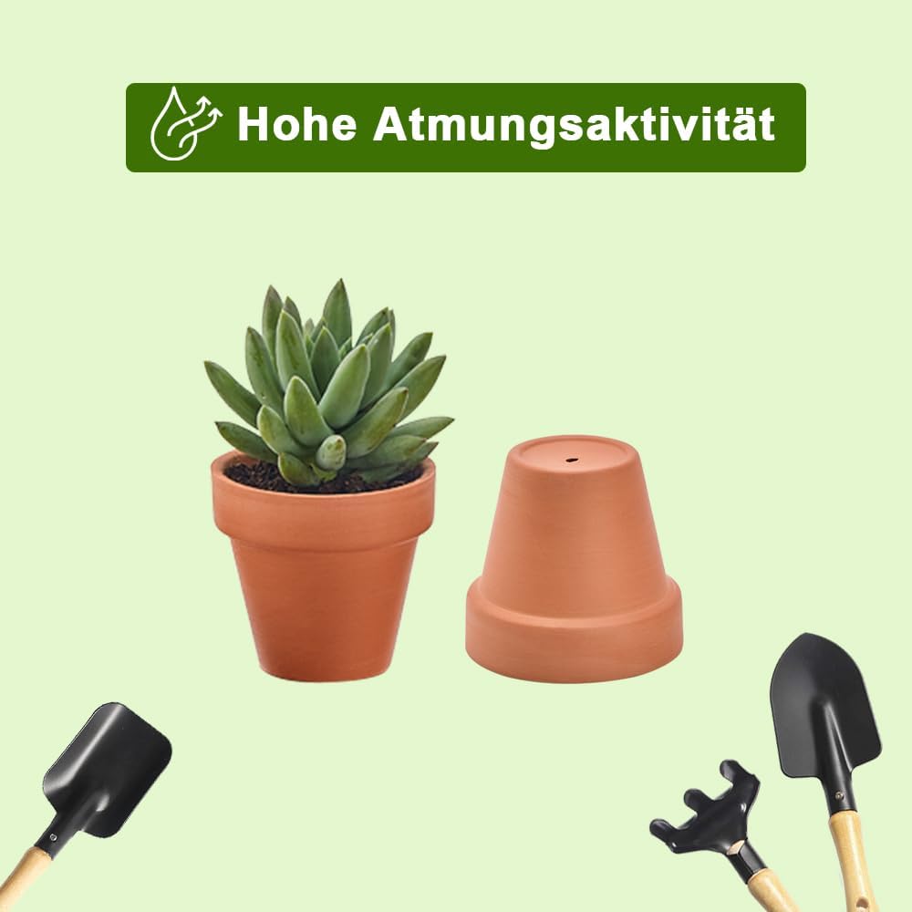 vensovo Terrakotta-Töpfe mit Drainage, 7,6 cm, 20 Stück, Ton-Blumentöpfe, Sukkulenten-Blumentöpfe, i