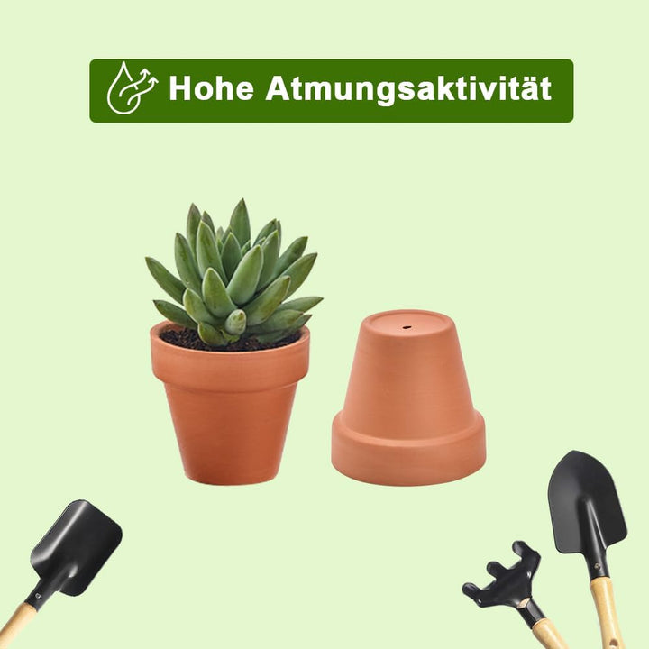 vensovo Terrakotta-Töpfe mit Drainage, 7,6 cm, 20 Stück, Ton-Blumentöpfe, Sukkulenten-Blumentöpfe, i