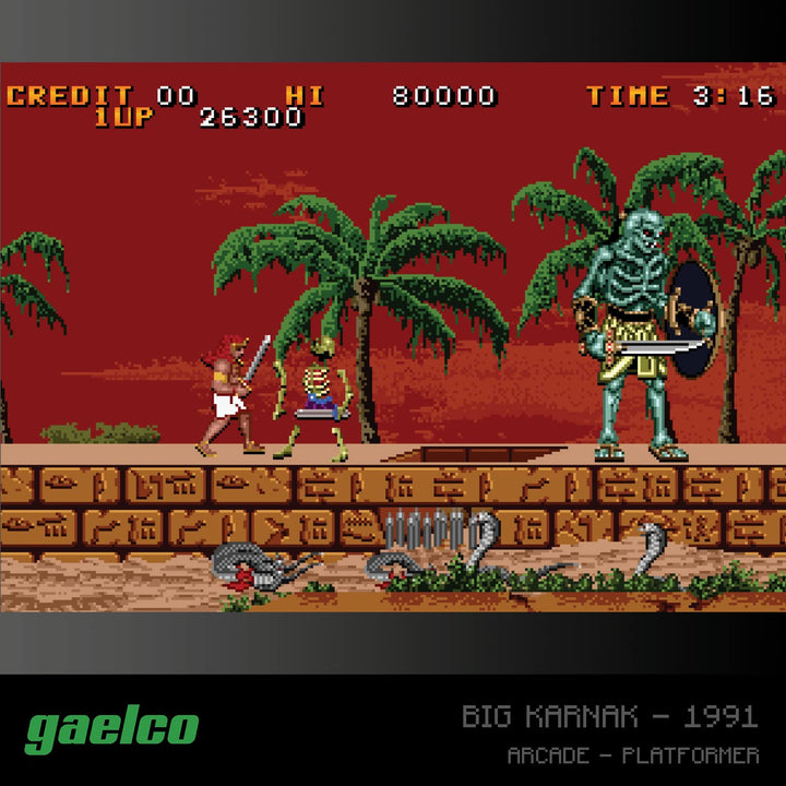 Blaze Evercade - Gaelco (Piko) Arcade Collection 2 - Cartouche Arcade n°6