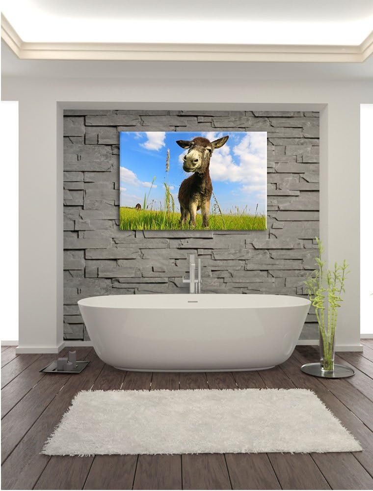 Pixxprint Esel in einem Feld in sonnigen Tag, Format: 100x70 auf Leinwand, 100x70