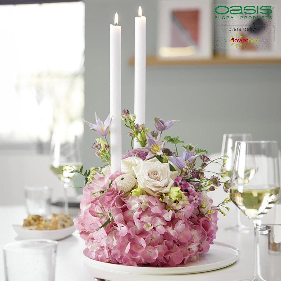 Flowerbox Oasis Steckschaum Bioline Kugel Ø16cm Steckmasse Steckschwamm