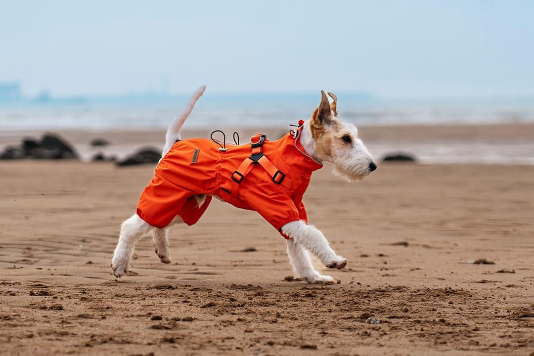 Hundegeschirr Regenmantel, Verstellbare 4-Bein-Hundejacke mit Geschirr Reflektierender Overall Wasse