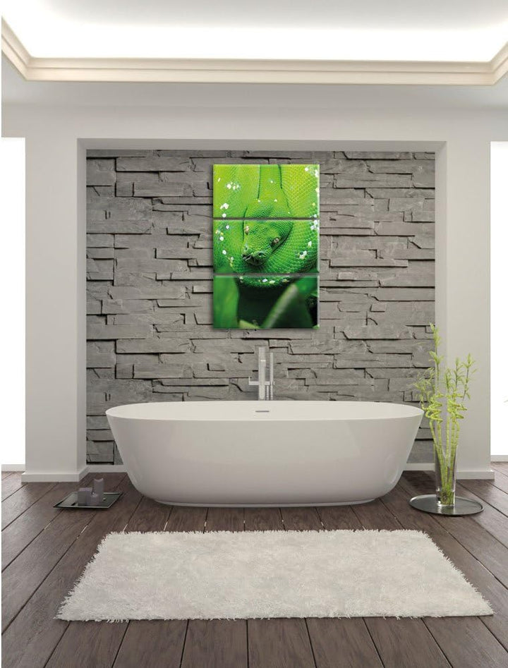 Pixxprint Grüne giftige Schlange als Leinwandbild/Grösse: 3 Teilig (120x80) cm/Wandbild/Kunstdruck/f