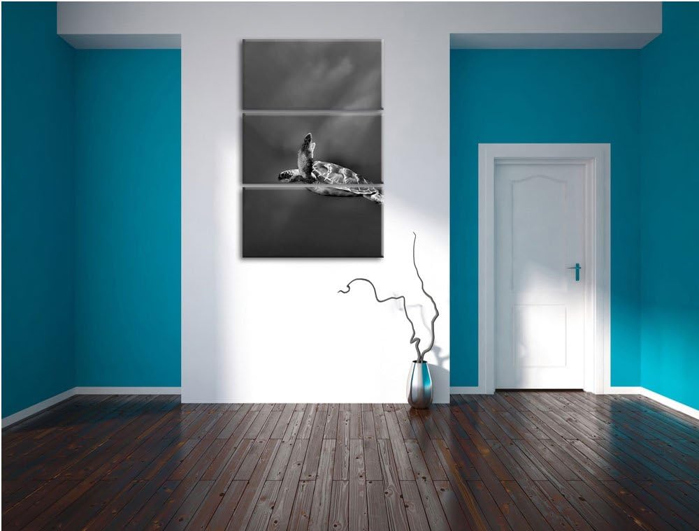 Pixxprint Monocrome, Schildkröte im Meer 3-Teiler Leinwandbild 120x80 Bild auf Leinwand