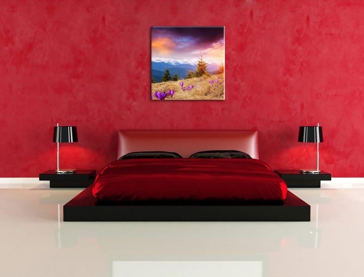 Pixxprint Krokusse auf Hochalmwiese in Alpen, Format: 70x70 auf Leinwand, 70x70