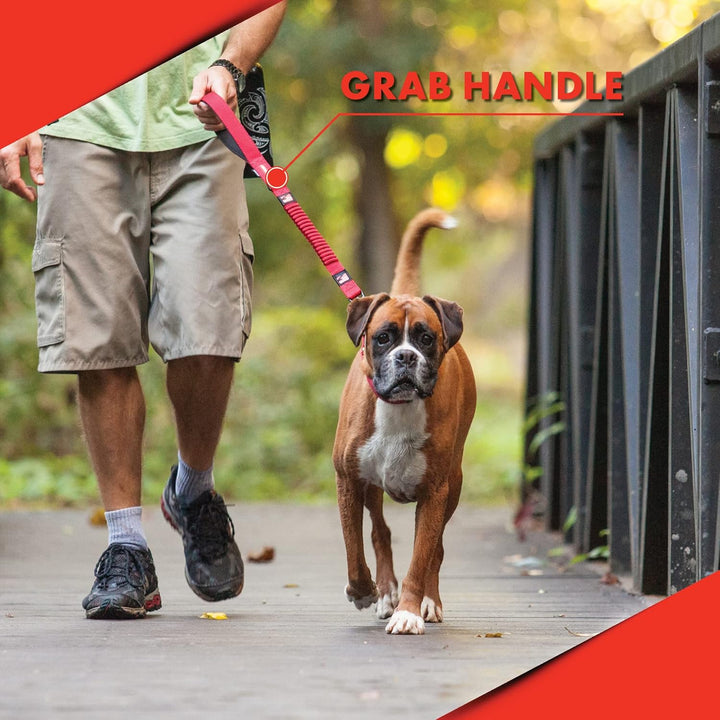EzyDog Elastische Hundeleine für grosse und mittelgrosse Hunde - Elastische Leine mit elastischem Dä